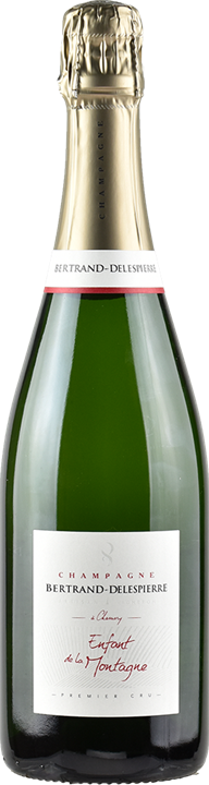 Champagne Bertrand Delespierre - Enfant de La Montagne 1er Cru