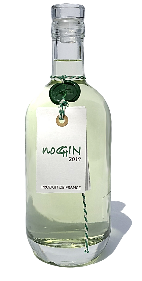 NoGin Hourtin-Ducasse